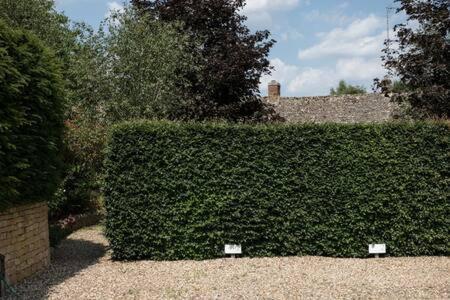 Two Rose Walk Cottage Cotswolds Moreton-in-Marsh Buitenkant foto