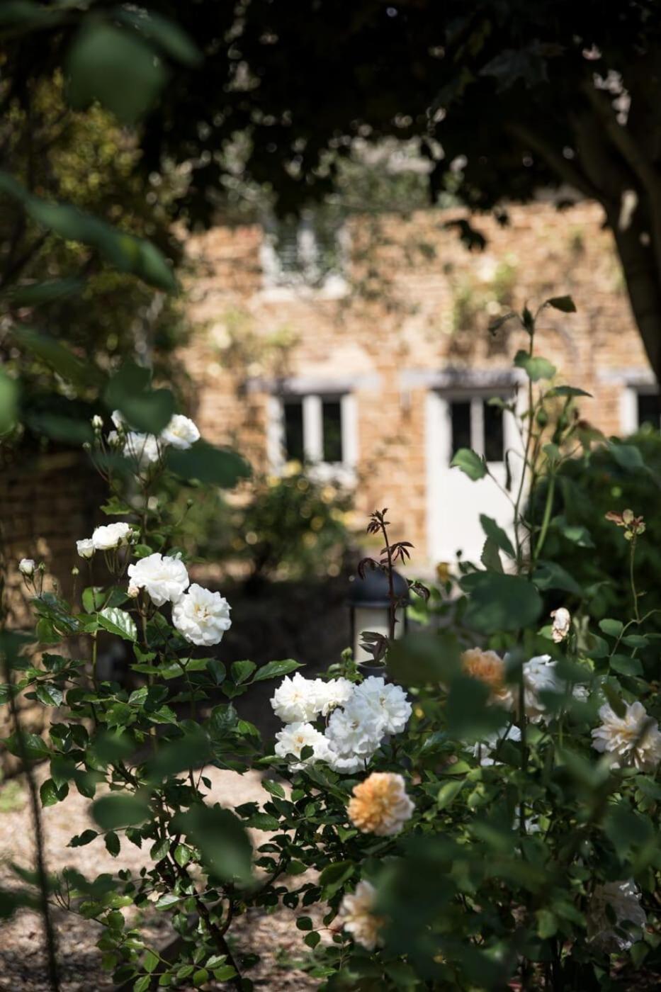 Two Rose Walk Cottage Cotswolds Moreton-in-Marsh Buitenkant foto